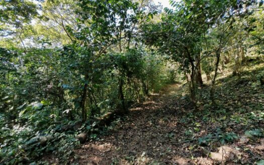 Parcela en Carretera Compostela