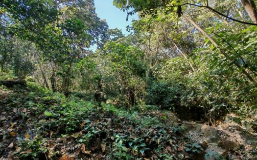 Parcela en Carretera Compostela