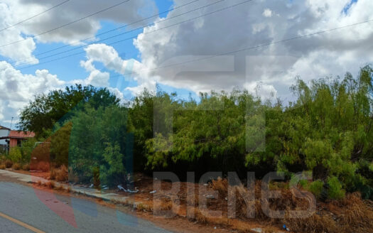Terreno en Granjas Treviño (calle Similar)