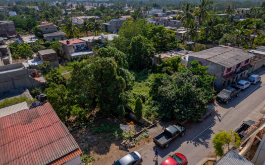 Lote Mezcales Centro