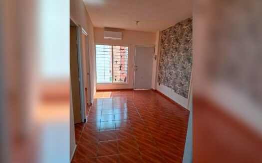 Ecoterra – Mar de Cortez