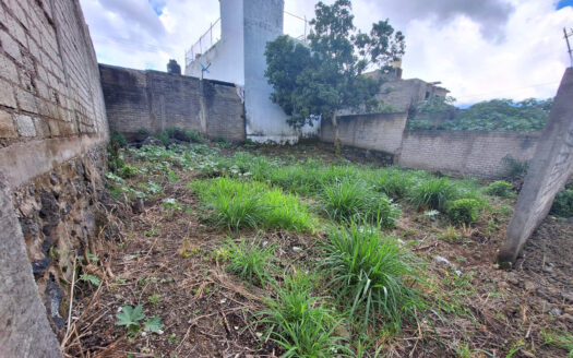 Terreno en la Corregidora