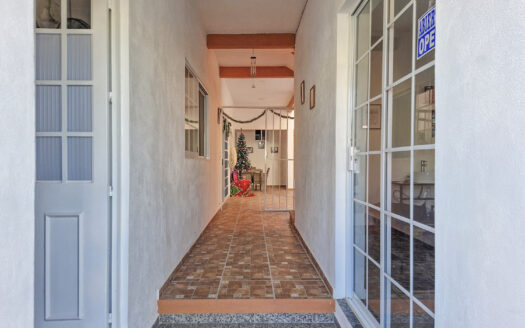 Colina Universitaria #104