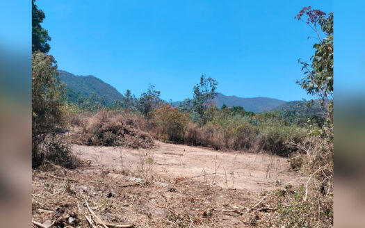 Terrenos en El Aguacate