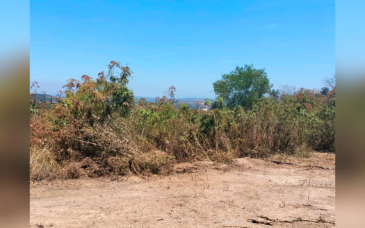 Terrenos en El Aguacate