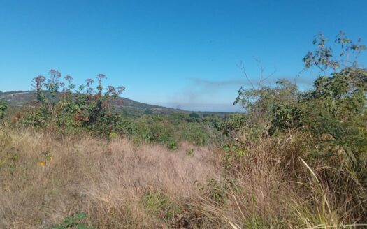 Terrenos en El Aguacate
