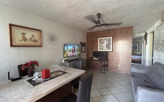 Valle Dorado #132