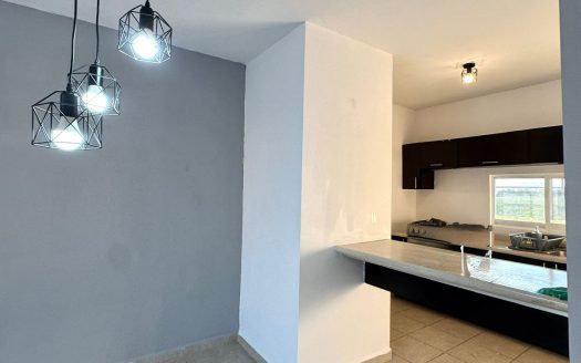 Banus 4 Planta Alta